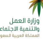 طريقة التواصل مع الدعم الفني مكتب العمل السعودي