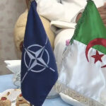 هل الجزائر في حلف الناتو